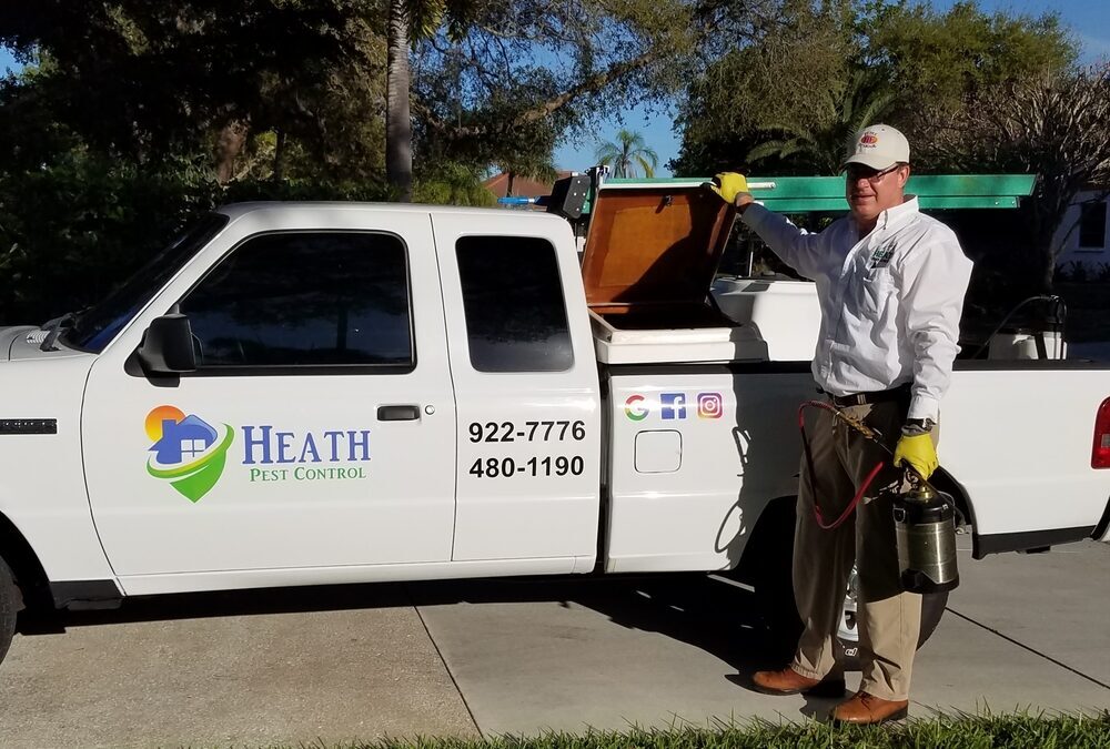 When to Call for Professional Ant Removal Treatment