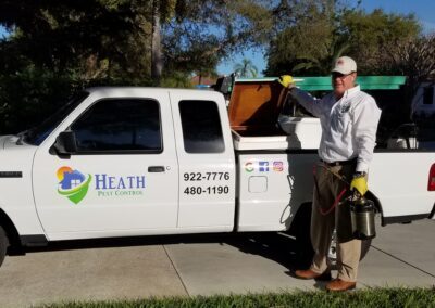 professional ant removal