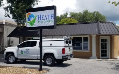 Natural Pest Repellents and Their Effectiveness: The Green Approach with Heath Pest Control