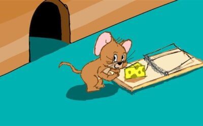 Pest Control Myths Debunked with Heath Pest Control