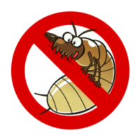 Termite Control & Prevention Sarasota FL