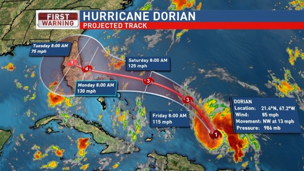 rat problems in hurricane season