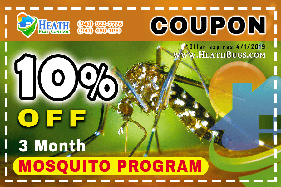 Mosquito Coupon