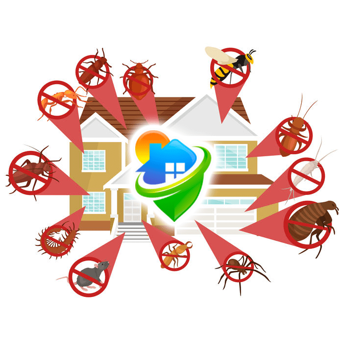 Pest Control Expert Sarasota FL