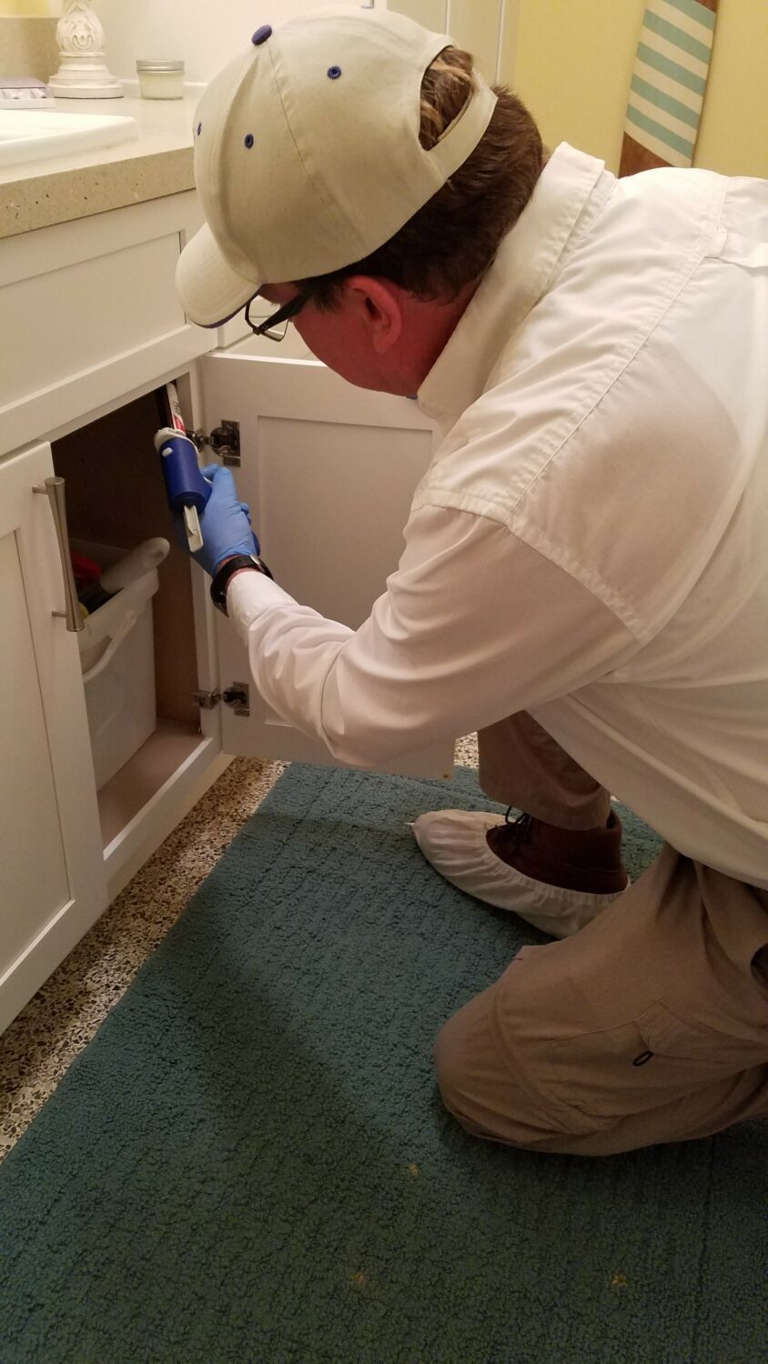 Pest Removal Services Sarasota FL