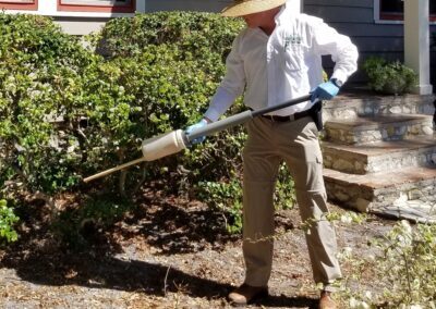 pest control lawn pests