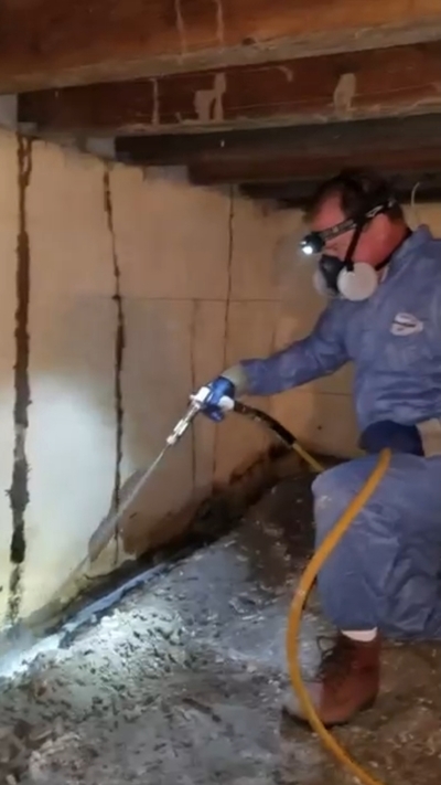 Termite Pest Control Company Sarasota FL