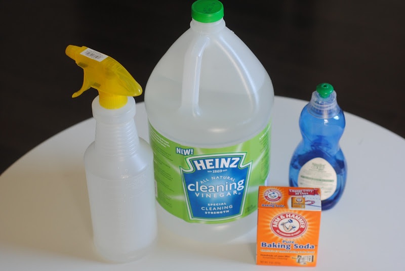 DIY ant repellent