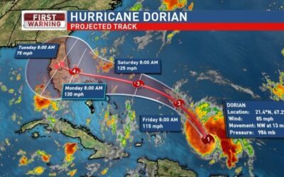 Rat Problems During Hurricane Season