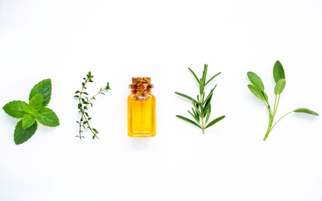 DIY Flea Control nontoxic ingredients